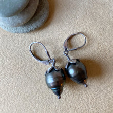 South Sea Pearl Earrings